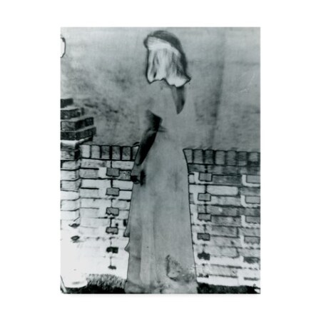 Trademark Fine Art Audrey 'The Ghost' Canvas Art, 14x19 ALI38707-C1419GG